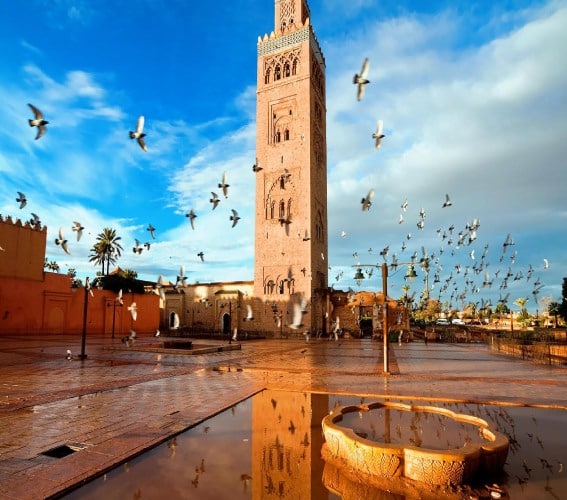 شروط السفر إلى المغرب