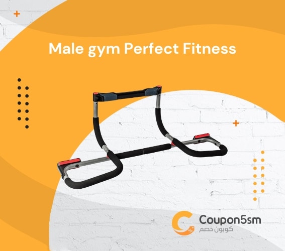 Male gym Perfect Fitness