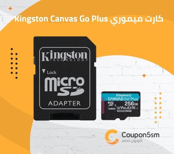 كارت ميموري Kingston Canvas Go Plus